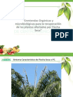 Charla Enmiendas Orgánicas y Mucrobiológicas Para La Recuperación de Suelos Con Flecha Seca