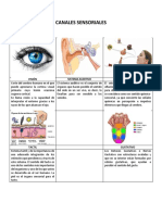 Canales Sensoriales
