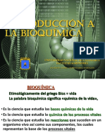 Introducción A La Bioquímica - Enzimas PDF