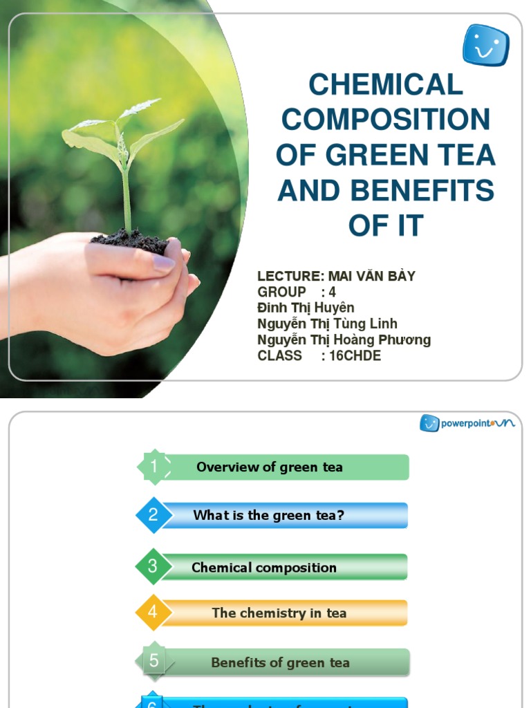 Green Tea: Composition and Benefits | PDF | Wellness