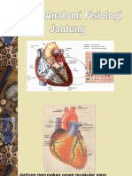 1. ANATOMI FIS JANTUNG.ppt