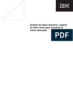 GestionDatosMaestros PDF