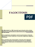 Fagocitosis