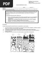 6° Evaluación Composición Del Suelo