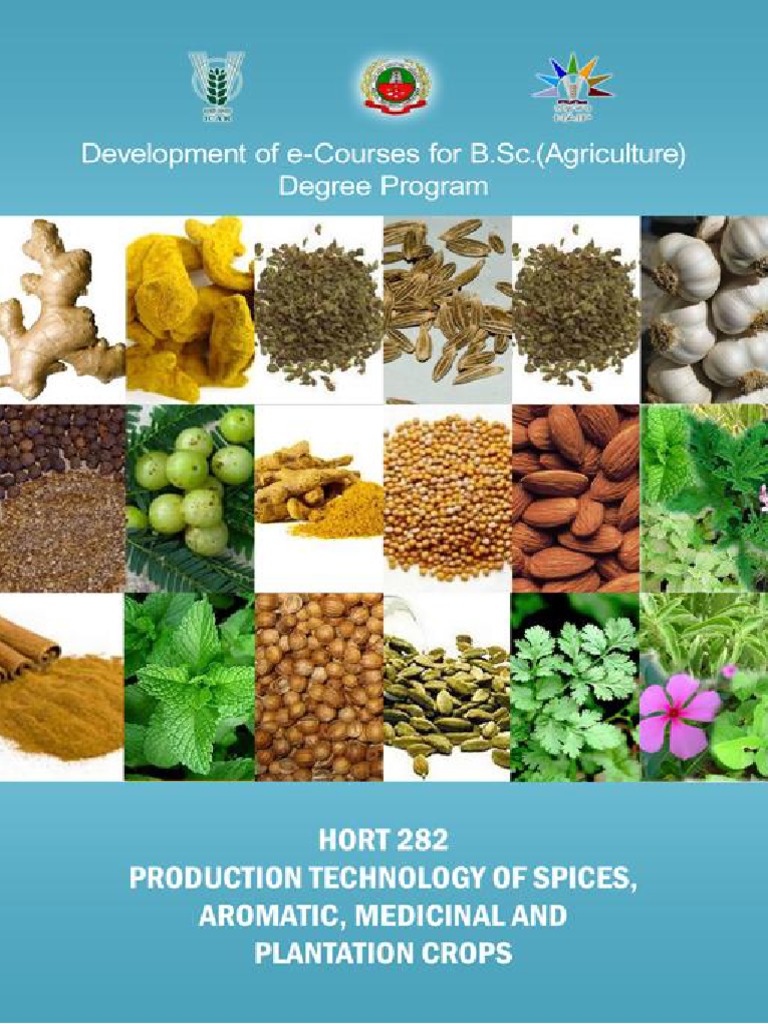 Production Technology of Spices Aromatic PDF | PDF | Black Pepper ...