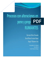 Alteraciones en Pene y Prepucio PDF