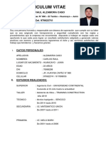 CV Ingeniero Civil Carlos Alzamora