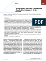 maternal depression and children brain.pdf
