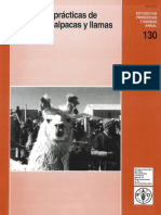 manual manejo llamas.pdf