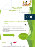 Enfoque Pedagogico Praxeologico