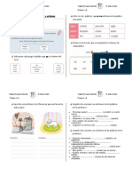 Guía de Aprendizaje Sinónimos y Antónimos