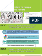 Tarea 3 Liderazgo y Trabajo en Equipo