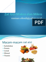 94776250-2-zat-gizi-makro-dan-mikro.pptx