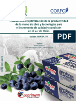Arandano PDF