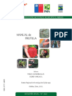 Frutilla PDF