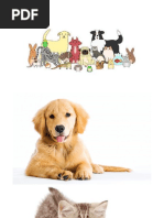 Animais e Os Seus Sons