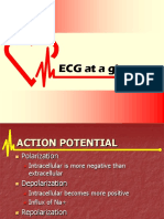 ECG at A Glance