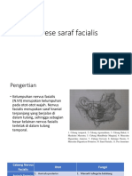 Parese Saraf Facialis