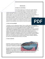 PRACTICA Nº4.docx