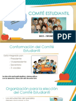 Comité Estudiantil - Funciones