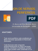 Lesiones nervios perifericos