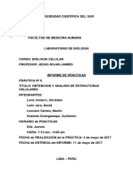 Introduccion Informe de biologia N6.docx