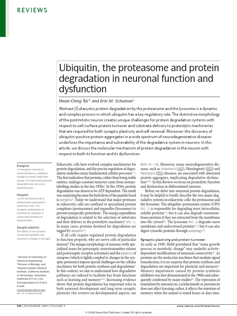 Ubiquitin, The Proteasome and Protein Degradation in Neuronal Function ...