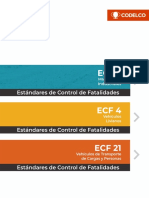 estandares_control_de_fatalidades__ecf__codelco (1).pdf