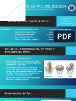 Mecanismos del trabajo de parto en posición occipito anterior