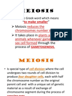 Meiosis: " Meiosis - It Takes Place in Through The Process of