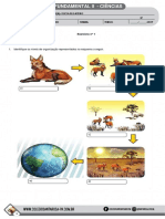 Ensino fundamental II - Ciências: exercícios sobre ecossistemas