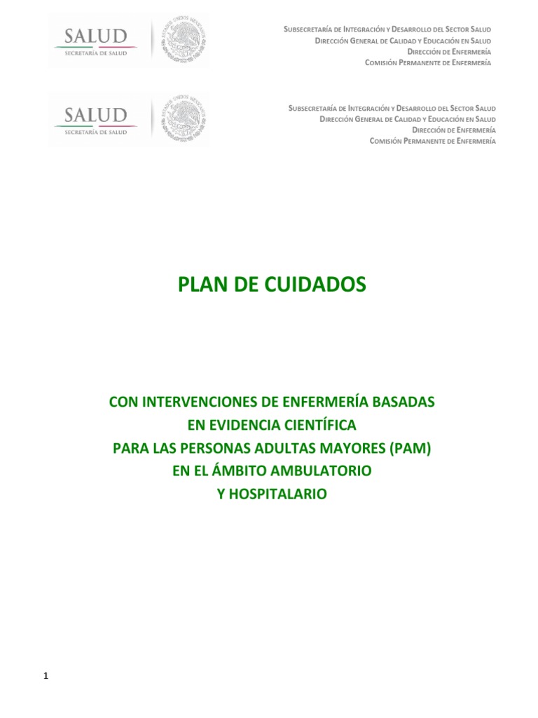 Plan de Cuidados para Adultos Mayores | PDF | Adultos | Vejez