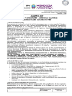 007 Anexo XII Higiene y Seguridad Laboral