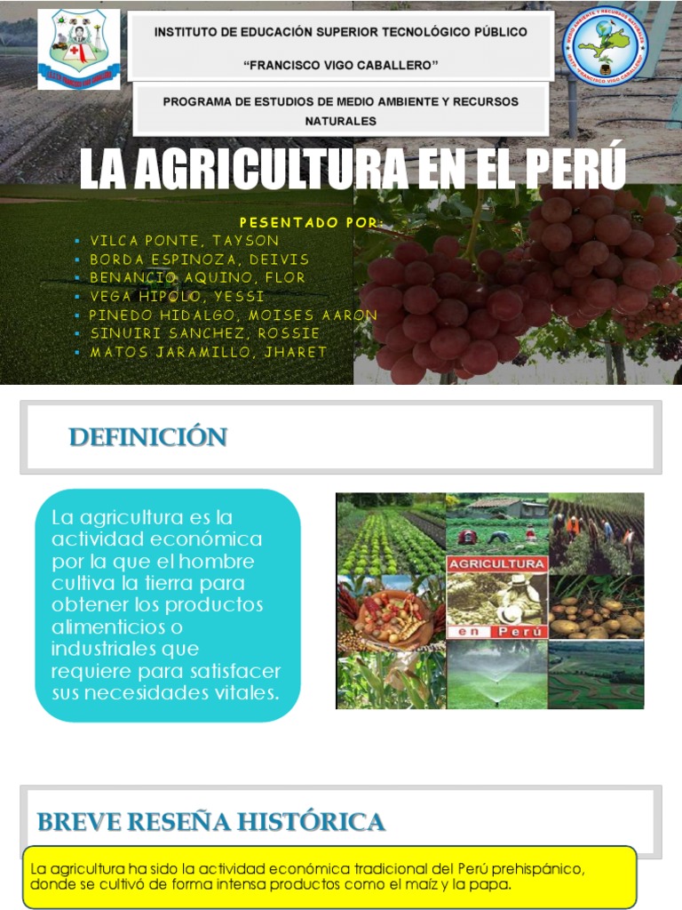 La Agricultura En El Perú Agricultura Perú