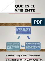 QUE Es El Ambiente