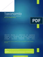 Taxonomía