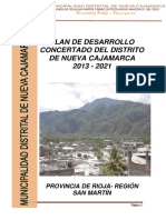 Pdu Nueva Cajamarca PDF