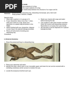 Biology 8 Frog Dissection Guide