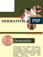 Penyuluhan Kulit Dermatitis