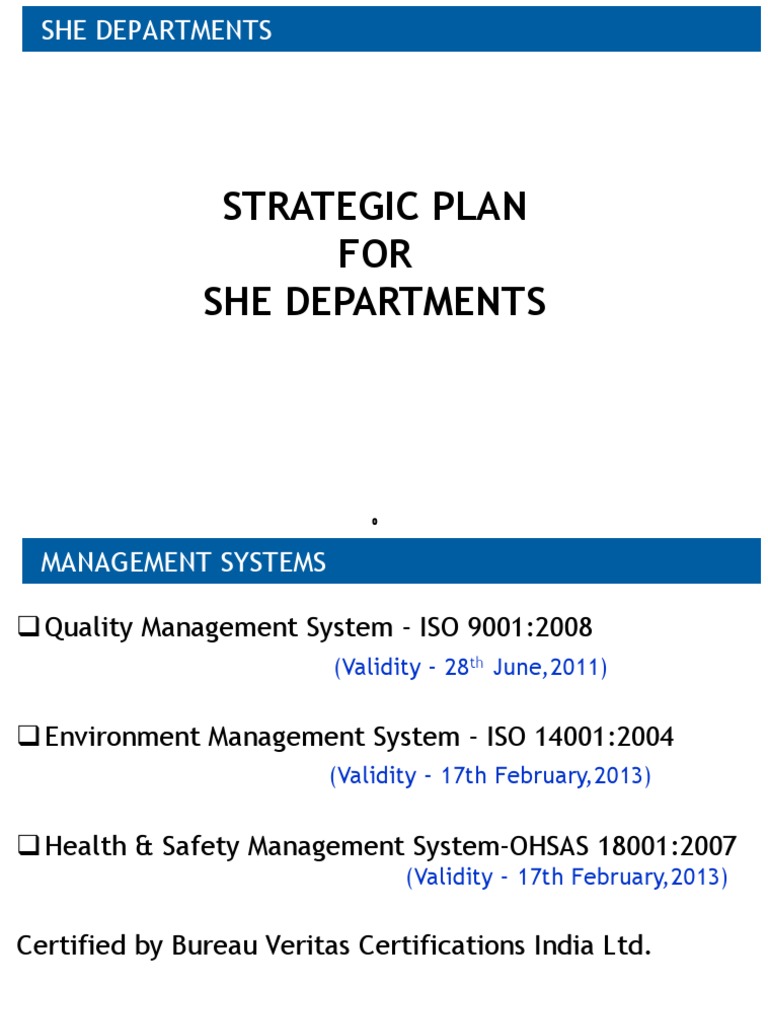 SHE Departments Strategic Management Plan | PDF | Internal Audit | Audit