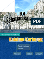6.4 SebatianKalsium