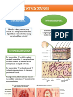 Osteogenesis