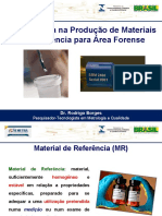 RodrigoBorges PDF