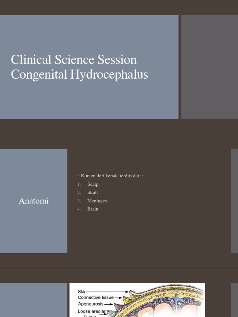 Clinical Science Session Congenital Hydrocephalus | PDF | Cerebrospinal ...