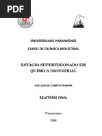 Relatório Final PDF