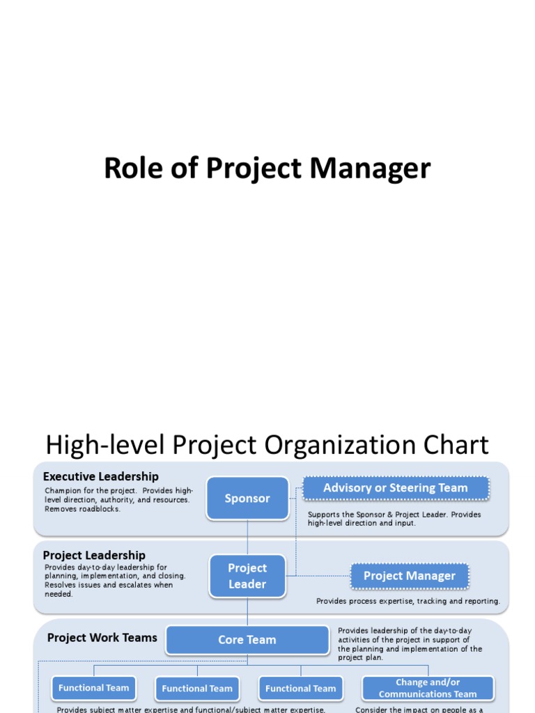 Role of project manager pdf project management leadership