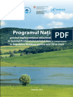 National_Programme_Rom.pdf