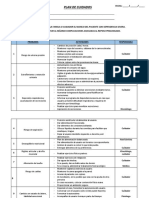 Plan de Cuidados Usuario Dep Severa