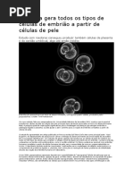 Pesquisa Gera Todos Os Tipos de Células de Embrião a Partir de Células de Pele