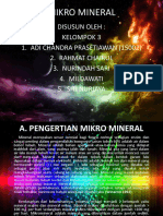 MIKRO MINERAL 2.pptx